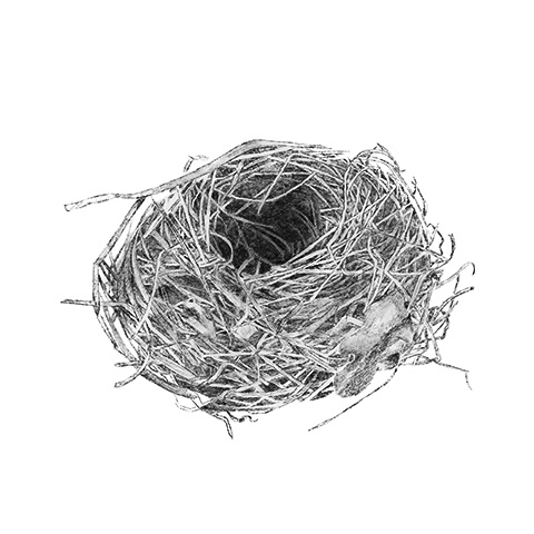 chalet nê drawing thumbnail