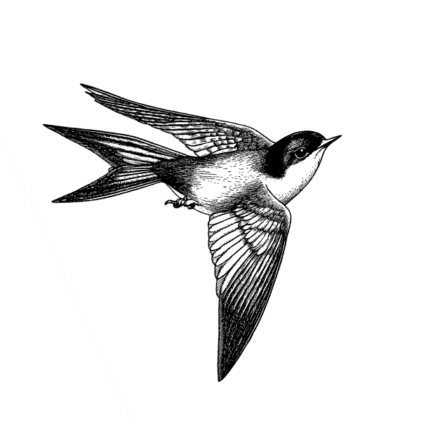 central tower family office drawing thumbnail