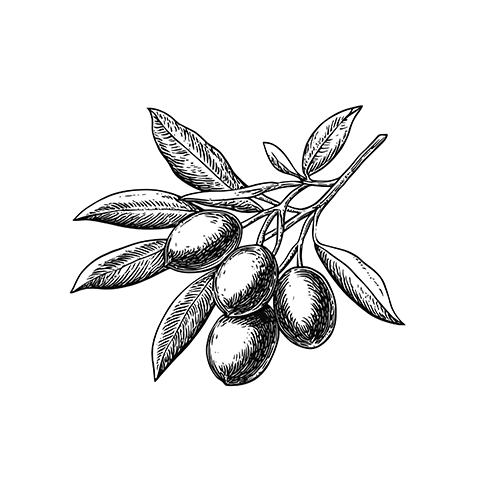 nasayem drawing thumbnail